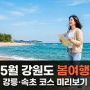 남이섬강변리조트(주) | 처음 가는 5월 강원도 봄여행, 봄꽃부터 바다까지 단체·가족 코스 완벽 추천 가이드