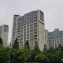 다인파랑새약국 이미지