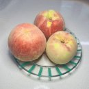 홍현농장 이미지