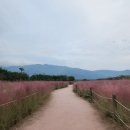황산공원 농구장 | 양산 물금 가볼만한 곳 황산공원 황산캠핑장