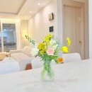 성덕초등학교 | 강릉꽃집 행복한 꽃순이｜가격·디자인·만족도 솔직리뷰