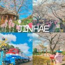 진해구 ⓒ-4 | 창원 가볼만한곳 진해군항제 여좌천 경화역 벚꽃 구경 평일 주차