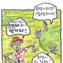 1156 이미지