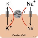 명작한의원 이미지
