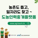 감자인력 이미지