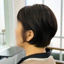 조례동미용실 애견동반 가능한 에이치헤어 새치커버 염색 숏보브 후기