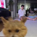 필드 로스터스