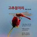 고추잠자리 이미지