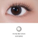 다비치안경 수원천천롯데마트옆점 | [다비치안경 수원천천동롯데마트옆점] 포레아, 데이어리 출시