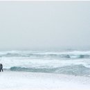 나는 희망한다 이미지