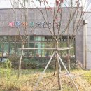 신동아파밀리에공인중개사사무소 이미지