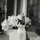 고양이 별 이미지