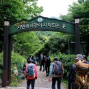 대원사계곡 이미지