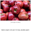 "오르고 오르더니"…세계에서 가장 비싼 한국 사과·감자값 이미지