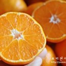 프레시멘토