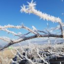 상배농장 이미지