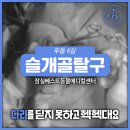 베스트 종합 동물병원 이미지