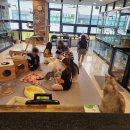 13번째고양이 이미지