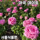서울 마곡 데이트하기 좋은 [서울식물원] 5월 방문 후기