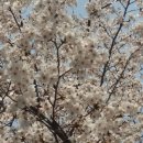 국립공주대학교 문화유산대학원 이미지