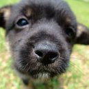 전원민박 이미지