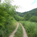 봉수면사무소 이미지