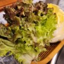 본냉삼집