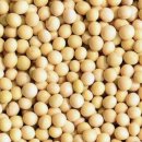 복영양탕 이미지