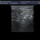 새롬동물병원 이미지