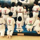 송라태권도 이미지