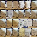 녹색중앙의원 | [도전] 2026년, '소셜 케미스트'의 위대한 도약! 대한민국 사회적가치 시상식 &amp; 녹색기후상 도전기