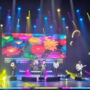 인디 스테이션 : 지소쿠리클럽 | 제주플레이리스트 2026. vol.1 지금 공연 후기(데이브레이크&amp;지소쿠리클럽)