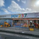 2024년 제주 감귤따기체험농장 예래팜 창천점 감귤따기 체험! 서귀포 친환경 감귤체험농장! [이춘근...