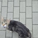 홈플러스 익스프레스 거여점 | 🇬🇧 영국| 오아시스만을 보러 간 영국에서 생긴 불미스러운 사건들...