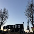 탄금호야영장 이미지