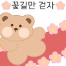라벤더블룸 이미지