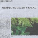 노래하는 나무 이미지