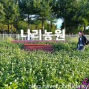 양주국민체육센터 앞 도로 이미지