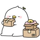 현대에스지