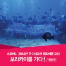 화곡역점 스포애니 주)케이디스포츠 | 스포애니 2016년 우수성과자 해외여행 포상!_보라카이를 가다!