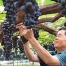 희성농장 이미지