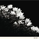 좌1동 주민센터 이미지