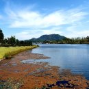 어진동_호수공원수변공원 이미지