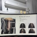 [서울 중구] 명동역 탈모커버 두비SMP 콤마더문 명동 내돈내산 솔직 후기