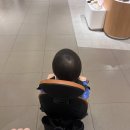 원대카플러스 | 내돈내산 '에이블유모카플러스' 구입후기📝(21개월아기)