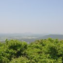 치유, 명상의 숲 Daum카페