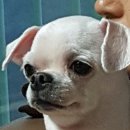 하기포토 이미지