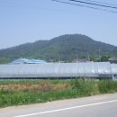 노성산약수터 이미지