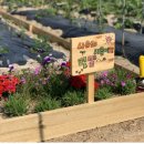 씨사이드 이미지