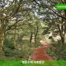 제주도가족펜션 행원주택 | 제주 가성비 숙소 | 행원주택 가족펜션 솔직후기